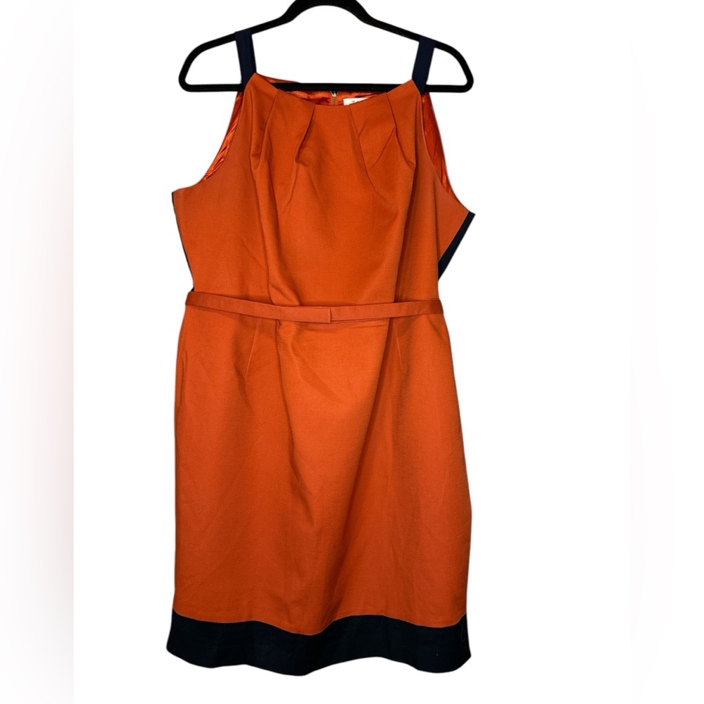 Tahari Corrina Belted Dress View 3